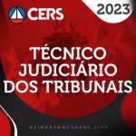 Técnico Judiciário dos Tribunais [2023] CS