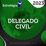 DPC | Delegado Civil - Curso Regular [2023] ES