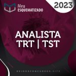 Analista TRT e TST  – Extensivo - 6ª Ed. [2023] Esquematizado