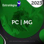 PC | MG - Investigador da Polícia Civil do Estado de Minas Gerais [2023] ES