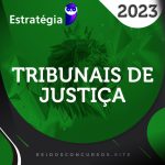 Tribunais de Justiça - Vários Cargos - Curso Regular [2023] ES