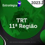 TRT 11 | AM – Analista ou Técnico do Tribunal Regional do Trabalho do Amazonas [2023.2] ES