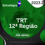 TRT 12 | SC – Pós Edital – Analista ou Técnico do Tribunal Regional do Trabalho de Santa Catarina [2023.2] ES
