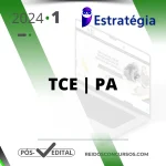TCE | PA - Pós Edital - Auxiliar de Controle Externo do Tribunal de Contas do Estado do Pará [2024] ES