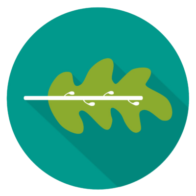 Defensoria Pública | Preparação Extensiva [2026] Rumo a Defensoria