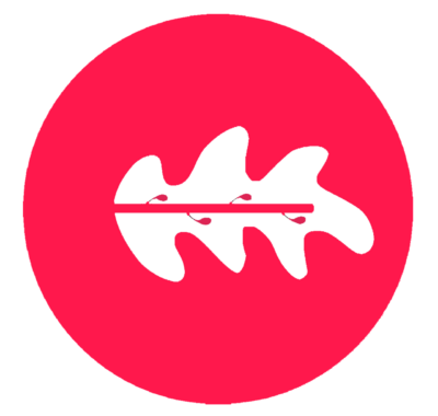 Combo Vadinho MPE [2026] Rumo ao MP